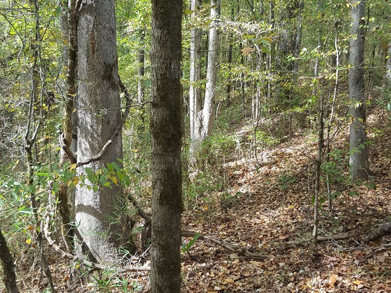 The Milltown Tract : La Fayette : Chambers County : Alabama