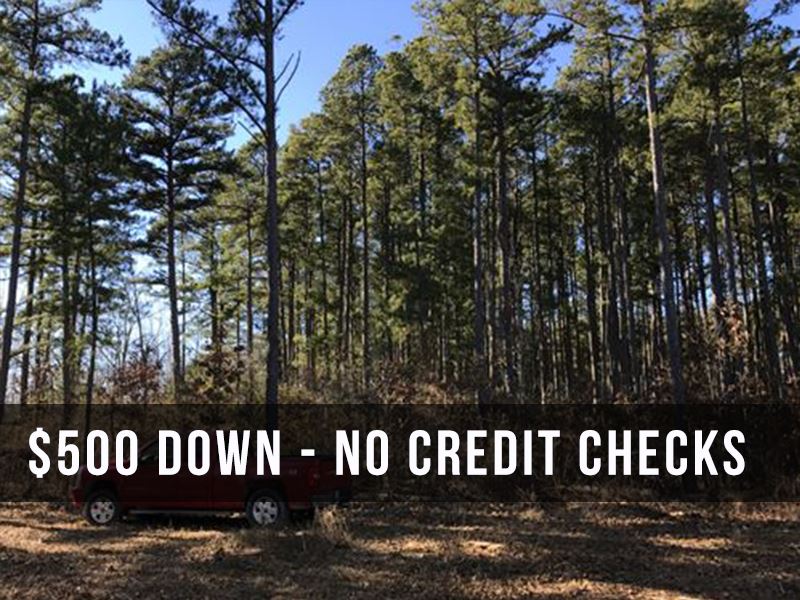 10.83 Acres with Private Drive Way : Mountain View : Howell County : Missouri