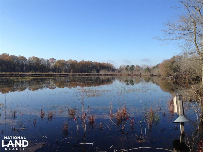 Summerton Duck Pond : Summerton : Clarendon County : South Carolina