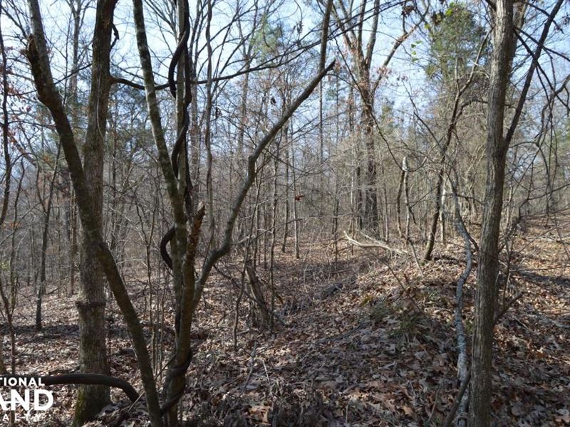 Hwy 51 South Recreational and Devel : Hernando : Desoto County : Mississippi