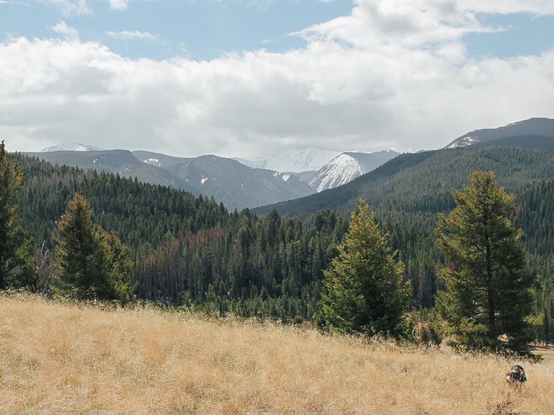 Lost Sapphire Ranch Lot : Philipsburg : Granite County : Montana