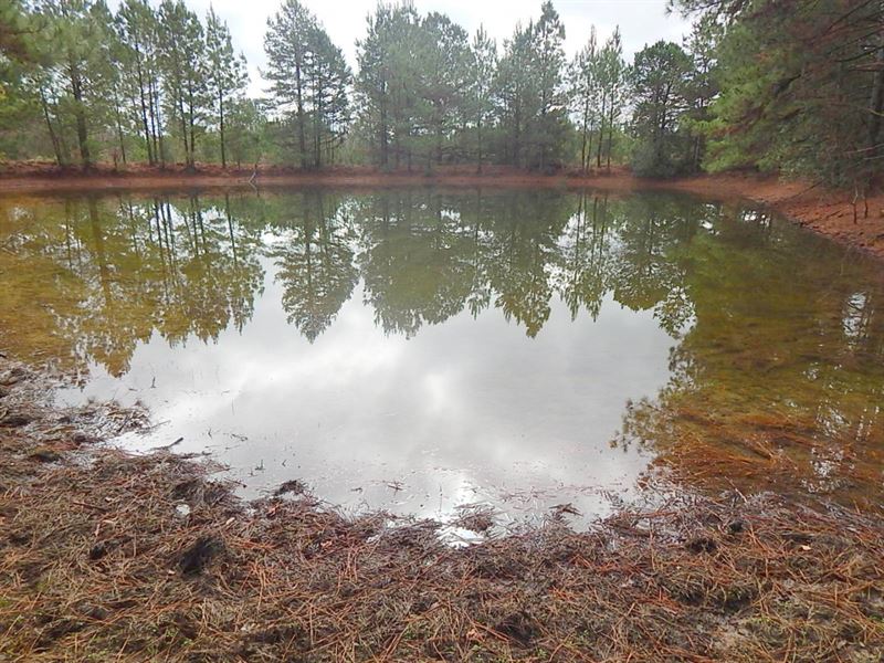 Grice Road - 125137 : Columbia : Marion County : Mississippi