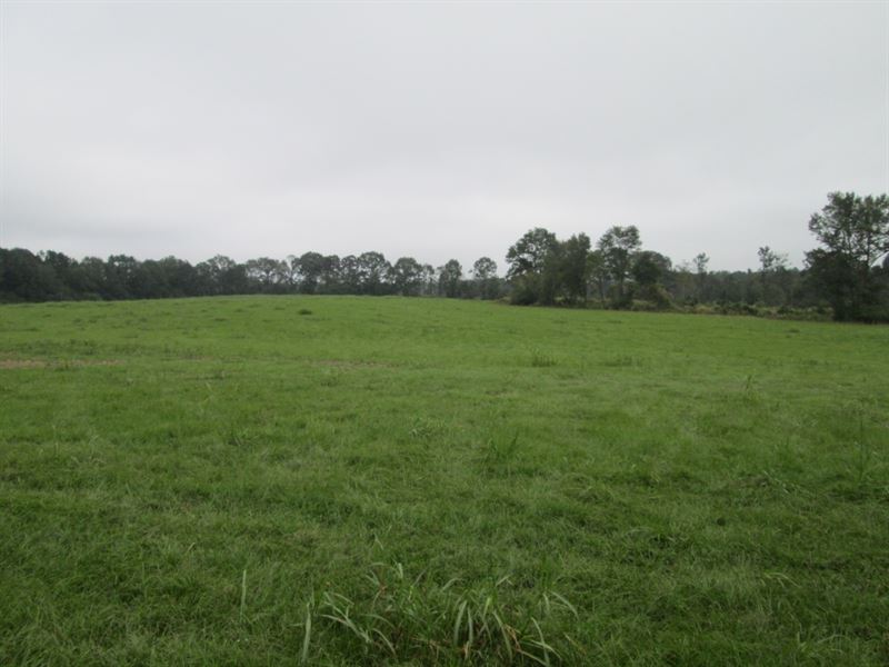 Bethlehem Loop 124454 : Tylertown : Walthall County : Mississippi