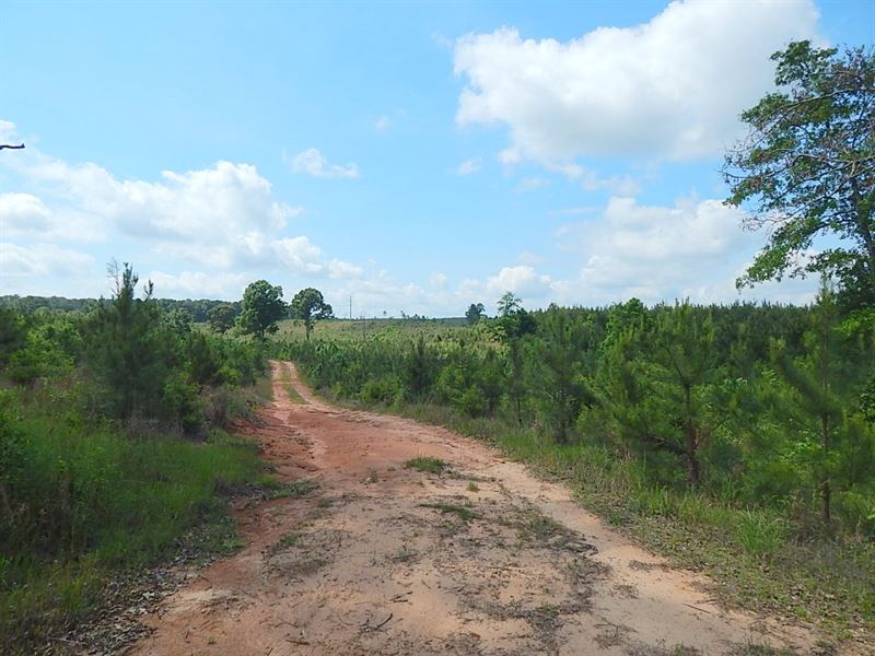 Oak Grove Road 517 -124302 : Prentiss : Jefferson Davis County : Mississippi