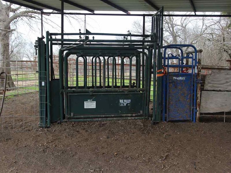 Northeast Texas Cattle Ranch : Roxton : Lamar County : Texas