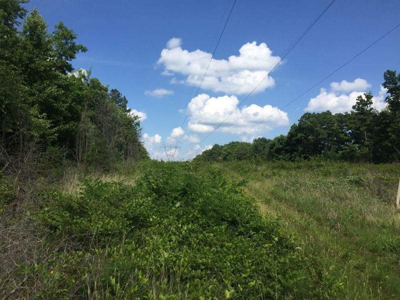 570.39+/- Very Affordable Acreage : Palmer : Grundy County : Tennessee