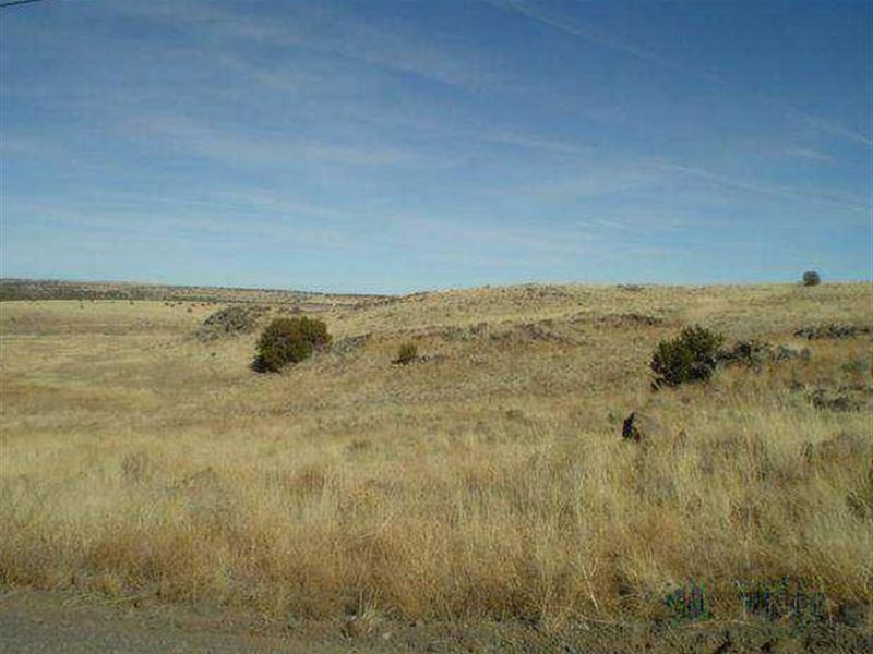 13.33 Acres for Sale : Saint Johns : Apache County : Arizona