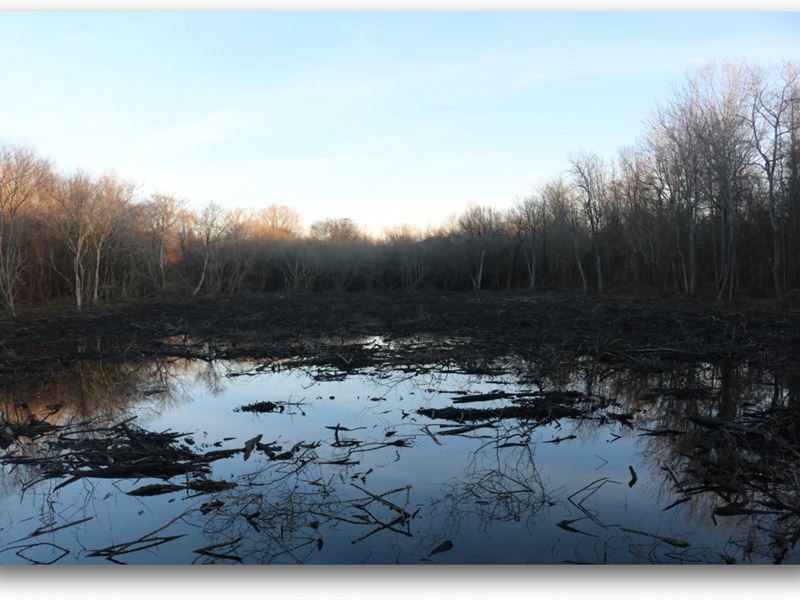 95.6 Acres in Issaquena County : Rolling Fork : Issaquena County : Mississippi
