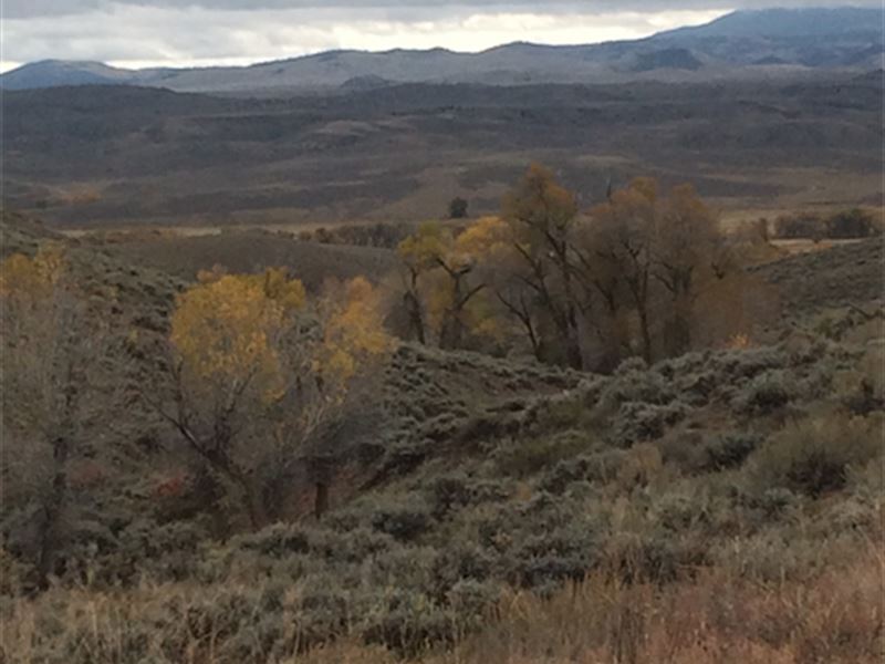 40 Acres in Gunnison, Ranch for Sale by Owner in Colorado, 119977