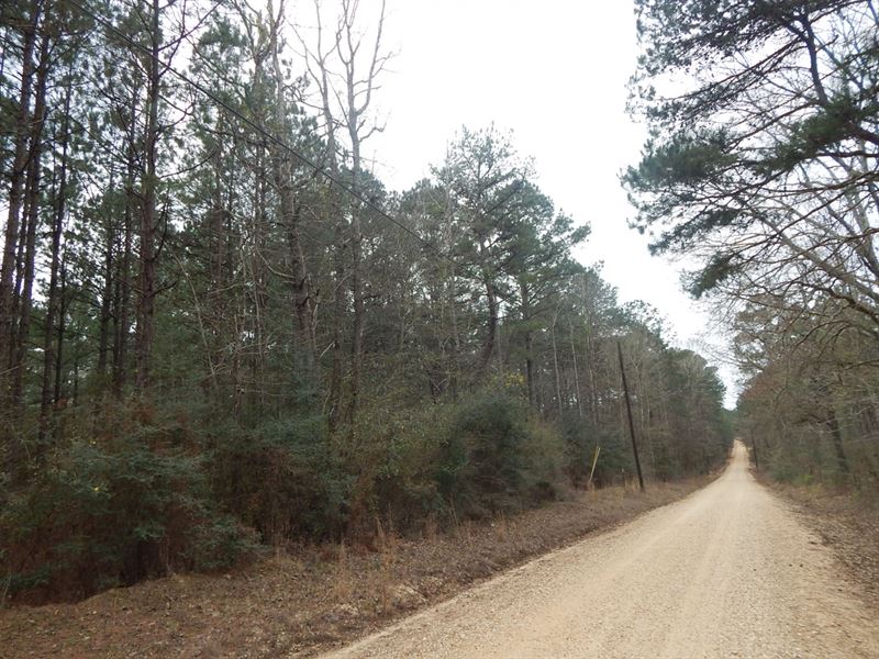 11.09 Acres- Good Timber : Gloster : Amite County : Mississippi