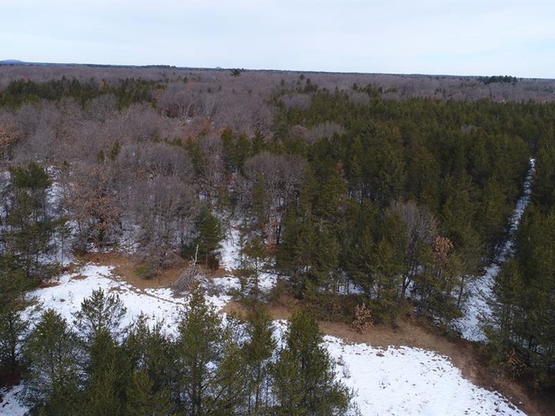 Year Round Recreational Enjoyment : Friendship : Adams County : Wisconsin