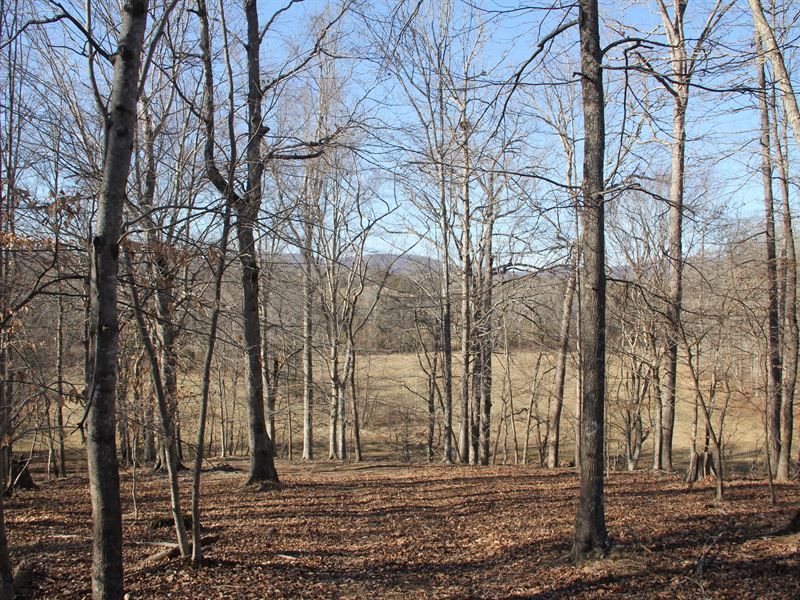 316 Acres Near Charlottesville Va : Keswick : Albemarle County : Virginia