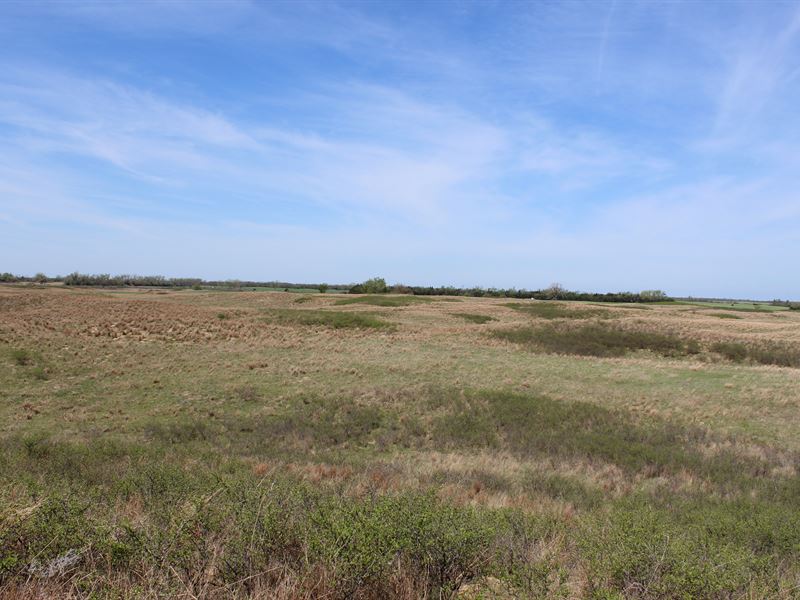 Rolling 180 : Albano : Pratt County : Kansas