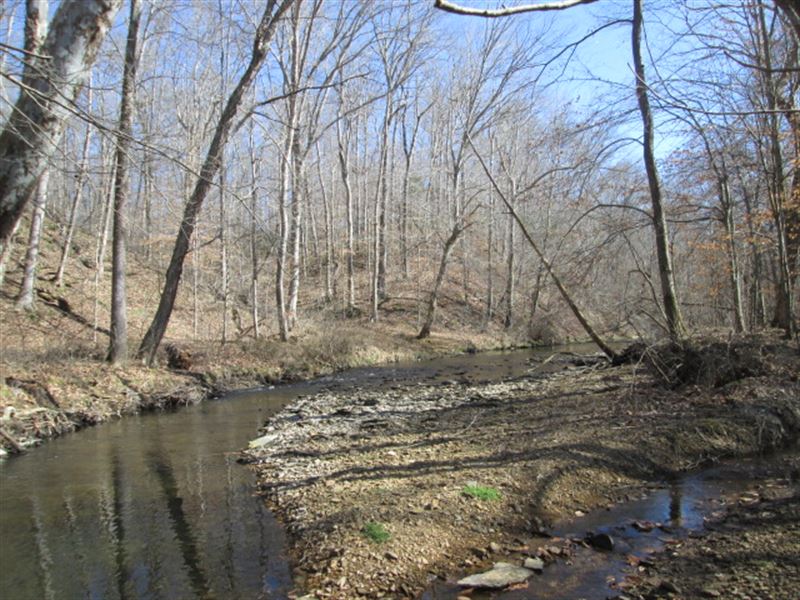 20.25 Acres in Adair County, Ky : Columbia : Adair County : Kentucky