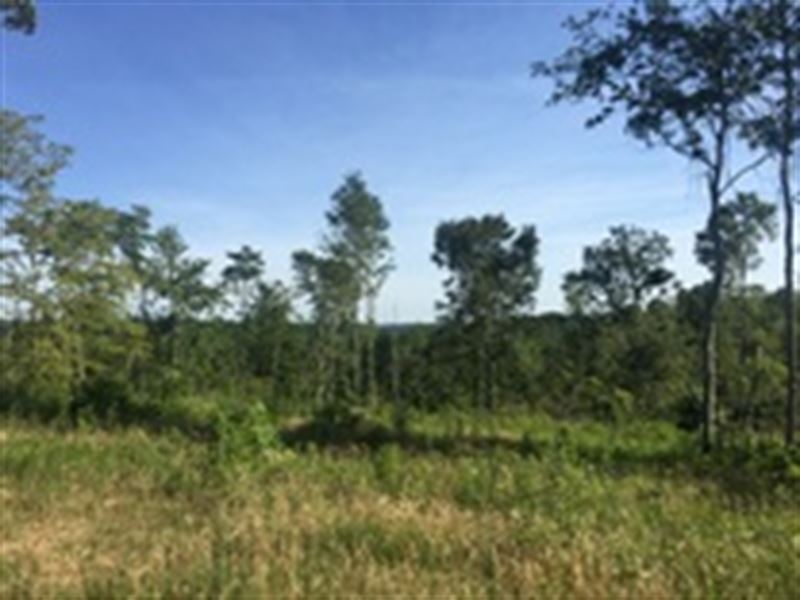 51.67 Acres in Metcalfe County, Ky : Edmonton : Metcalfe County : Kentucky