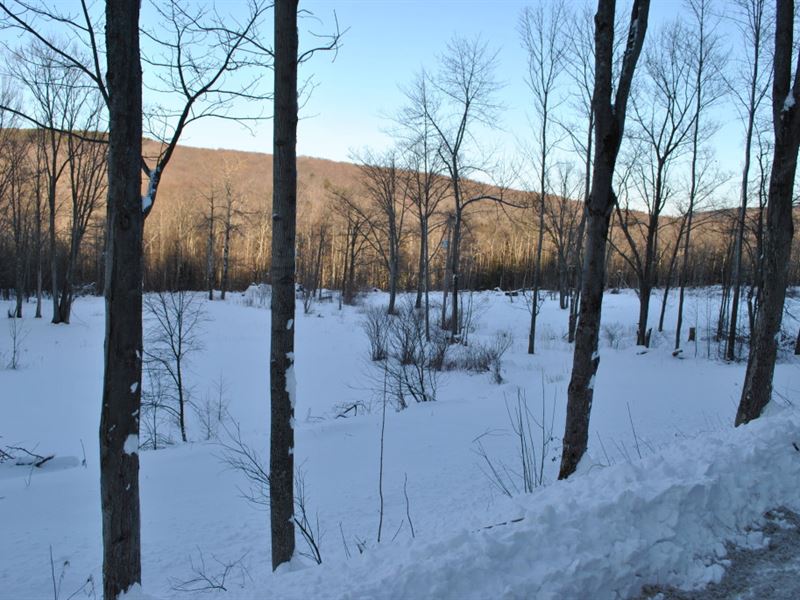 30 Acres Borders Forest Richford Ny : Richford : Tioga County : New York