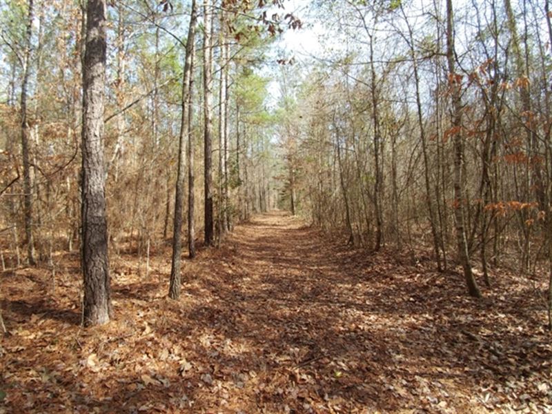Chappells Creek : Danville : Wilkinson County : Georgia
