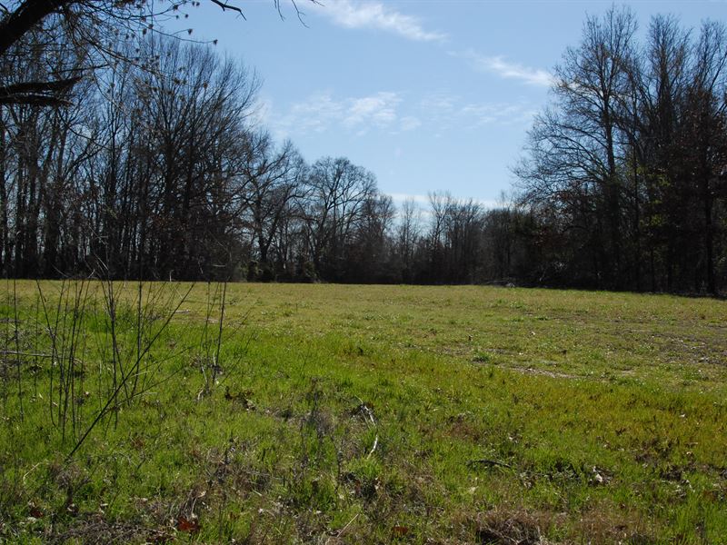 155 Acre Farm with Timberland : Marvell : Phillips County : Arkansas