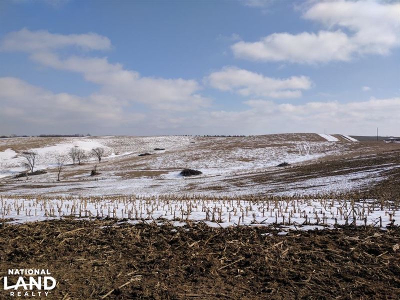Aowa Creek Farm and Hunt : Newcastle : Dixon County : Nebraska