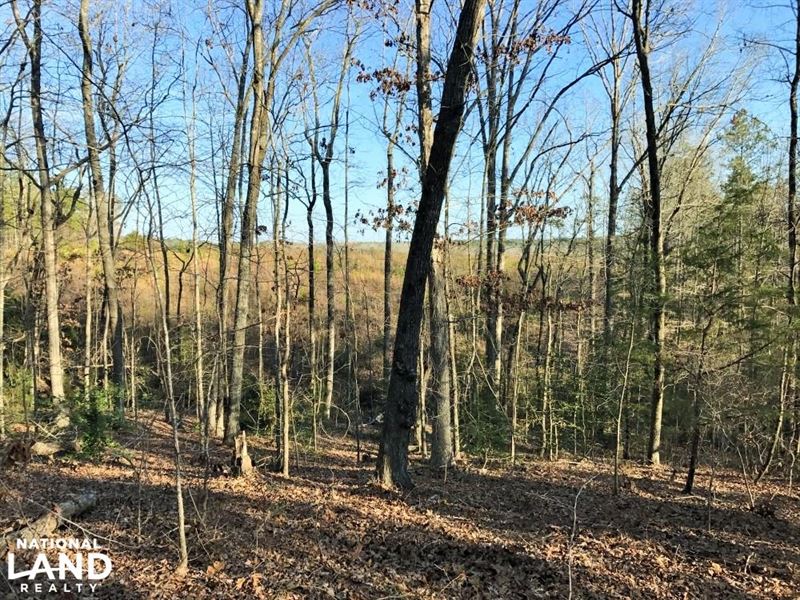 Kershaw Hunting Hardwood Timber Tra : Kershaw : Kershaw County : South Carolina