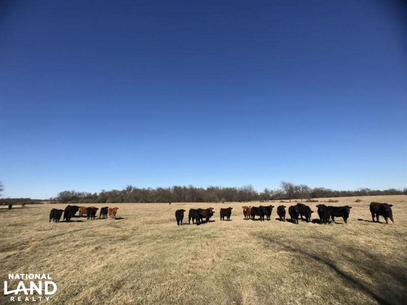 Sarcoxie Pasture 160 : Sarcoxie : Newton County : Missouri