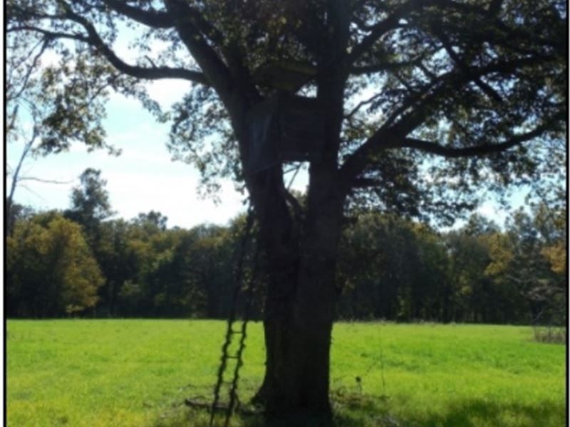 Smith Point Share W/ Lake Lot Boliv : Gunnison : Bolivar County : Mississippi