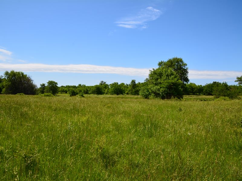 The Wildlife Haven : Fort Scott : Bourbon County : Kansas