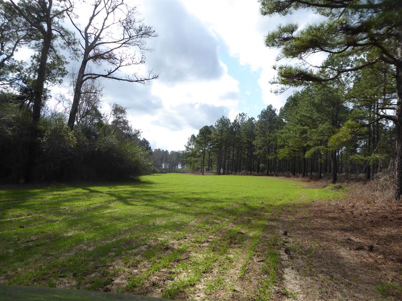 46-008 McGough Tract : Tuskegee : Macon County : Alabama