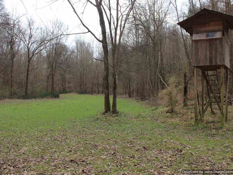 Recreational/Estate Property : Vicksburg : Warren County : Mississippi