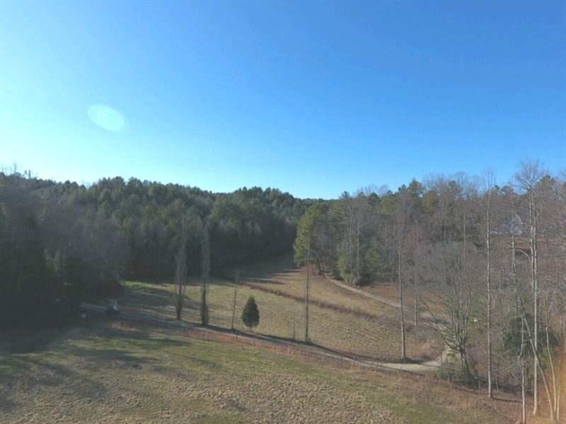 31 Acres Of Open & Wooded Land : Ellijay : Gilmer County : Georgia