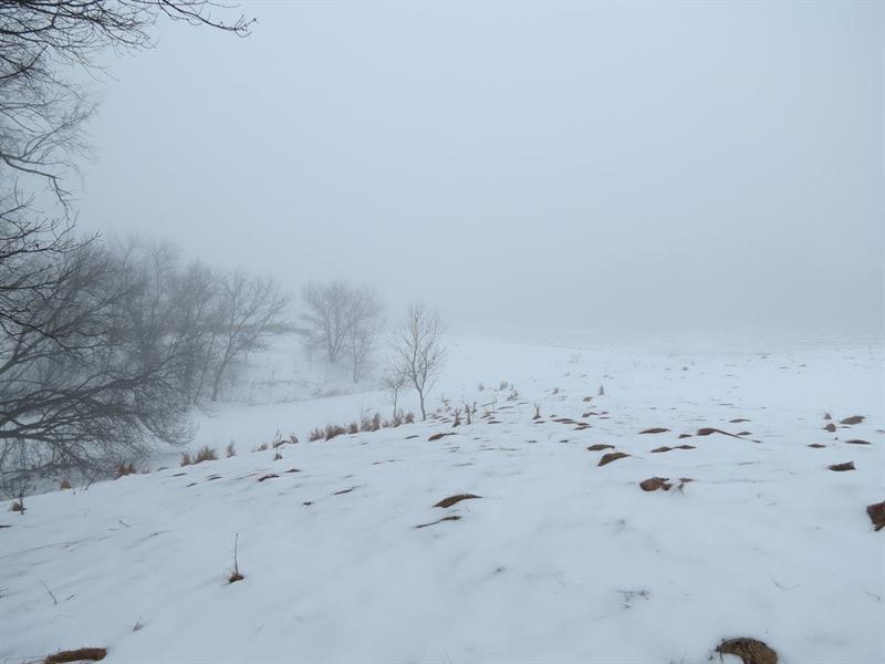 36+/- Acres for Hunting/Building : Amherst Junction : Portage County : Wisconsin