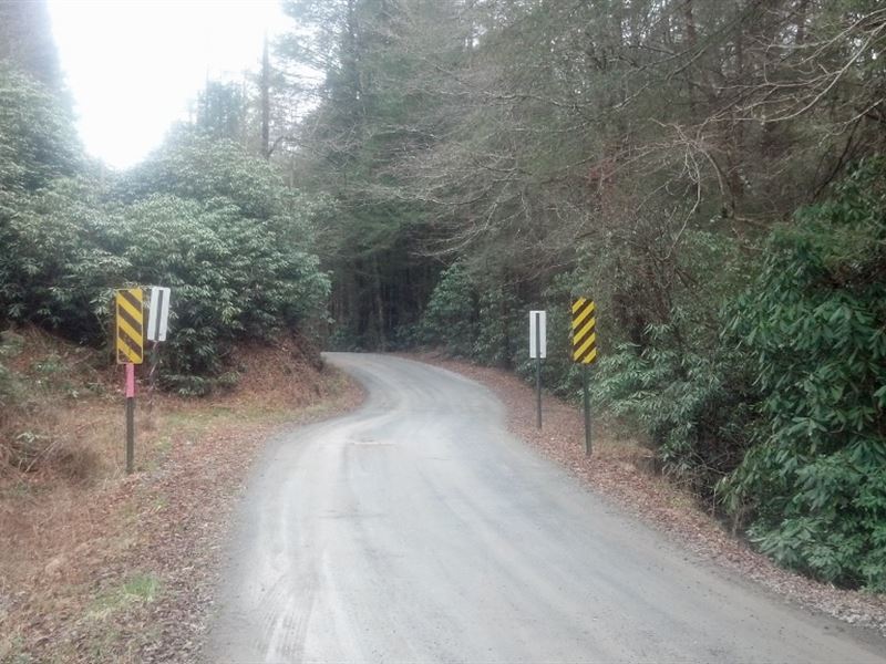 12 Acre Lot Selling Absolute : Ellijay : Gilmer County : Georgia