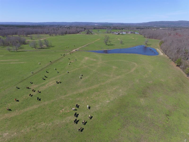 6,000 Ft On Creek, Pasture & Ponds : Ashville : Saint Clair County : Alabama