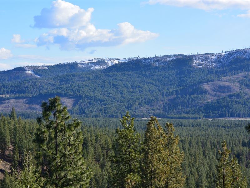 Rogstad Recreation : Blanchard : Bonner County : Idaho