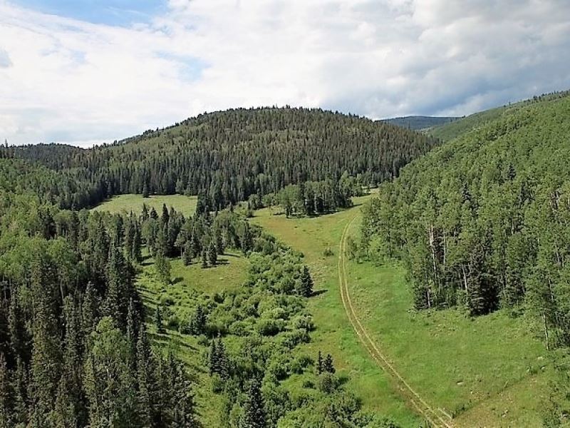Ten Grand Ranch : Powderhorn : Gunnison County : Colorado
