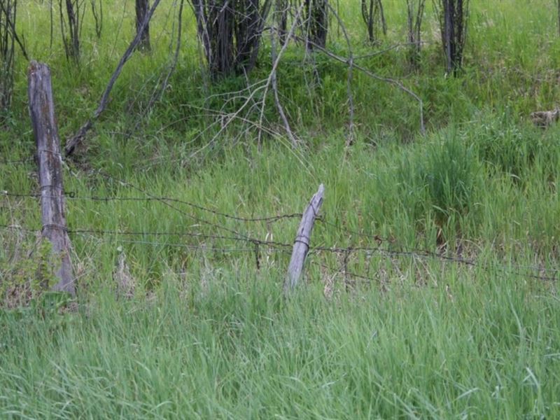 Little Cimmaron Ranch : Gunnison : Gunnison County : Colorado