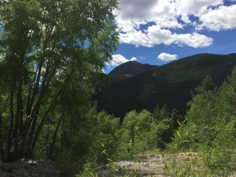Lower Henson Mining Claim : Lake City : Hinsdale County : Colorado