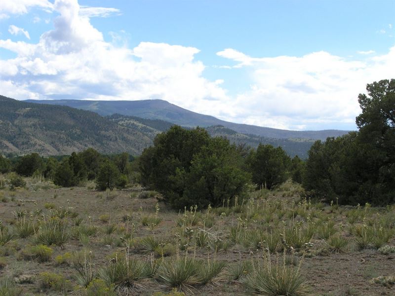 South Fork River Island Ranch : South Fork : Rio Grande County : Colorado