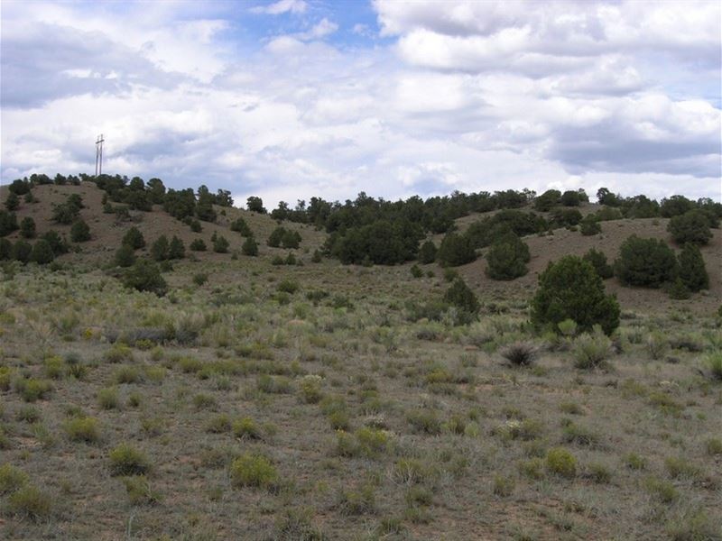River Island Ranch Lots : South Fork : Rio Grande County : Colorado