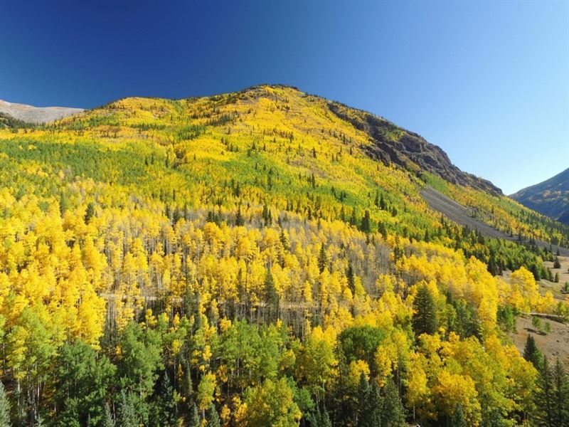 Galena Mining Claims : Lake City : Hinsdale County : Colorado