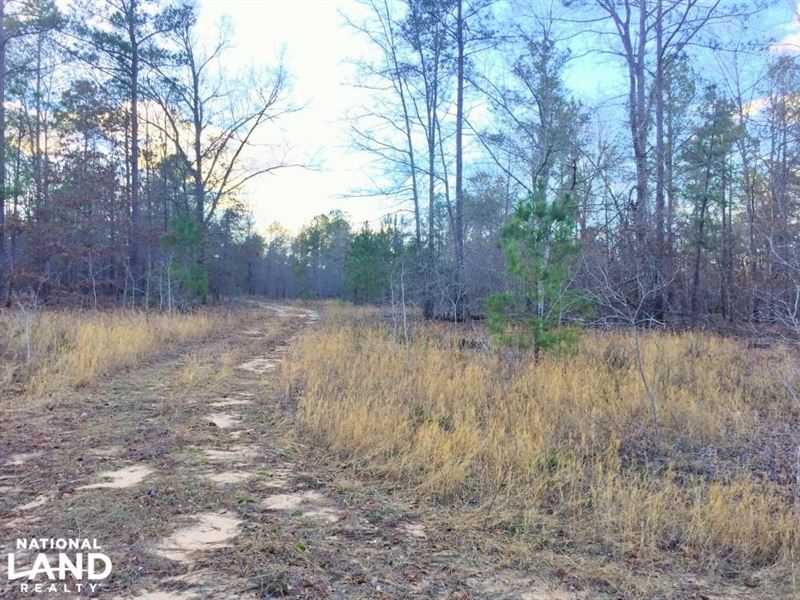 Elgin Development Acreage : Elgin : Kershaw County : South Carolina
