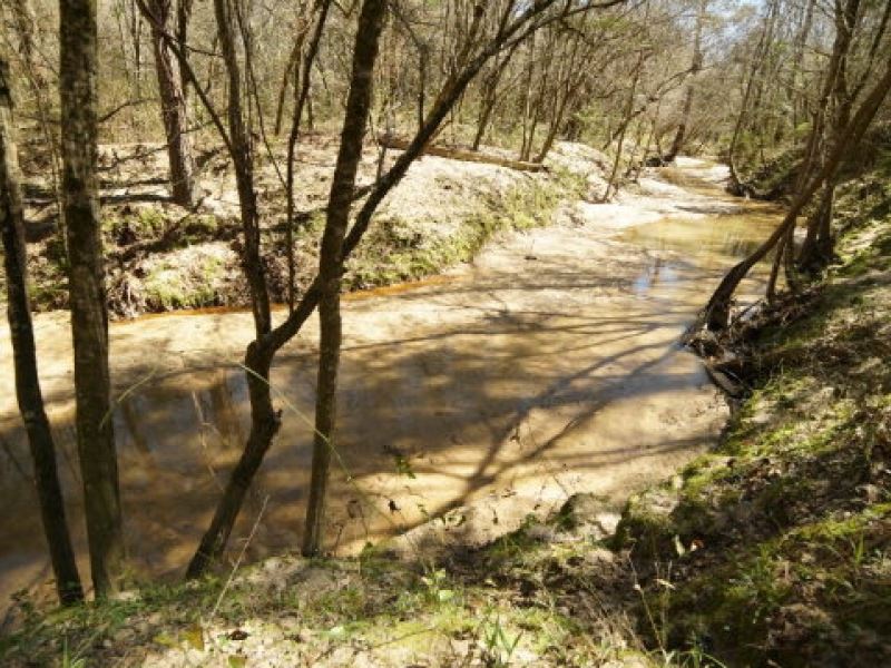 Turn Key Hunting Tract Adams Co. Ms : Natchez : Adams County : Mississippi