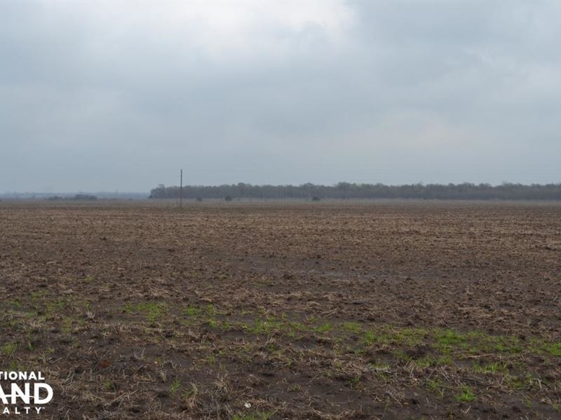 713+/- Acre Row Crop Farm North Of : Foreman : Little River County : Arkansas