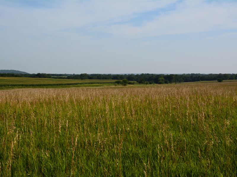 Historic Leavenworth 80 : Tonganoxie : Leavenworth County : Kansas