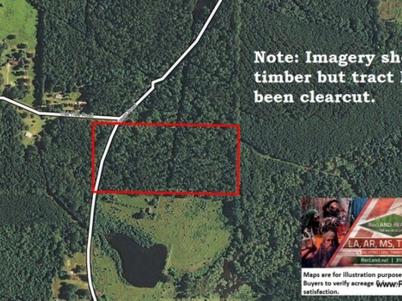 20 Ac - Pine Timberland Cutover For : Choudrant : Lincoln Parish : Louisiana