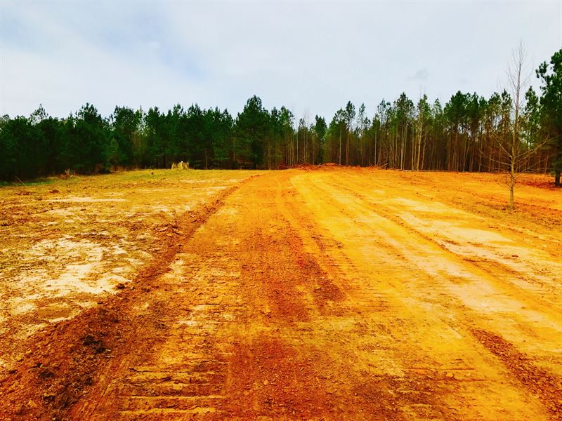 155 Acres in Blackstock, Sc : Blackstock : Chester County : South Carolina