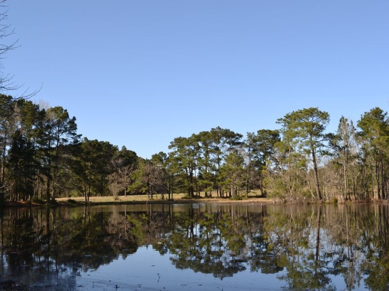 Clopton Farm : Montgomery : Montgomery County : Texas
