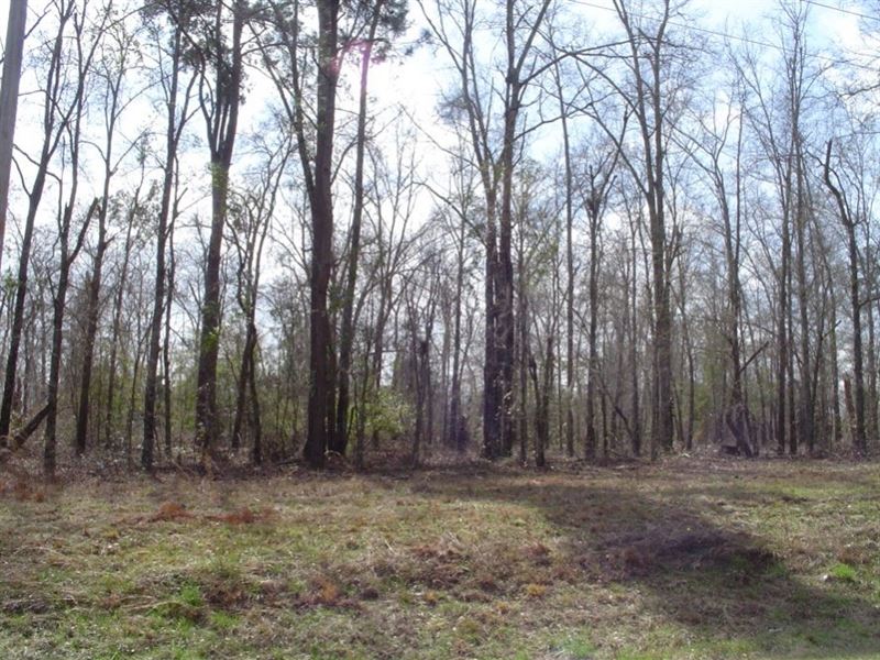Clinton Tract : Barnwell : Barnwell County : South Carolina