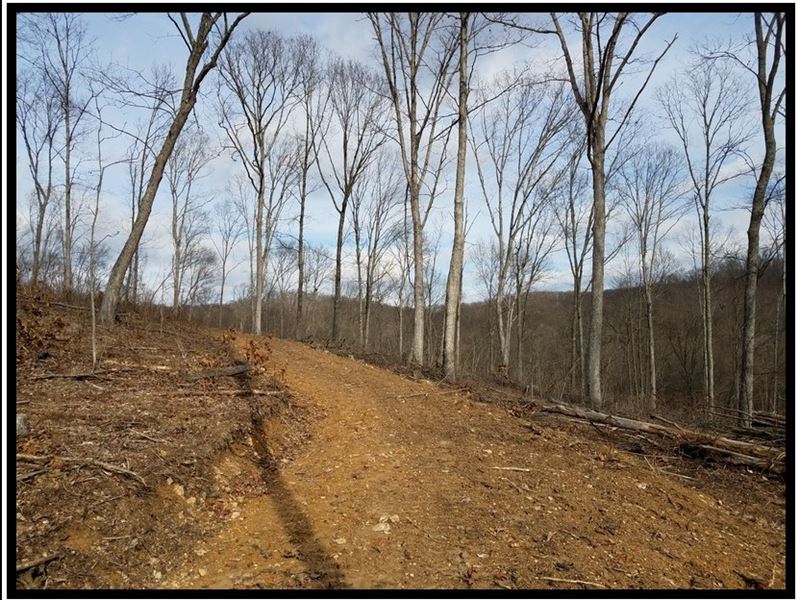 17.6 Acres in Ross County : Waverly : Ross County : Ohio