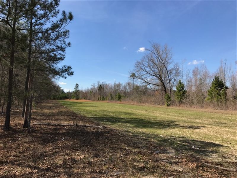 140 +/- Wooded Acres, Baldwin Co : Milledgeville : Baldwin County : Georgia